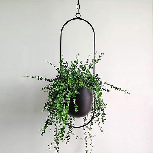 Support à plantes FloraFrame