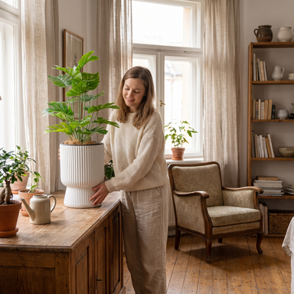 Pot de fleurs à réserve d'eau avec plante verte dans un intérieur lumineux